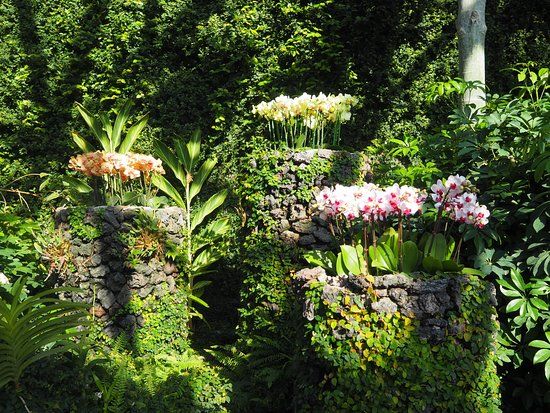 Ogród botaniczny w Yeomiji